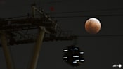 Total lunar eclipse expected on Mar 3; Science Centre to host special viewing