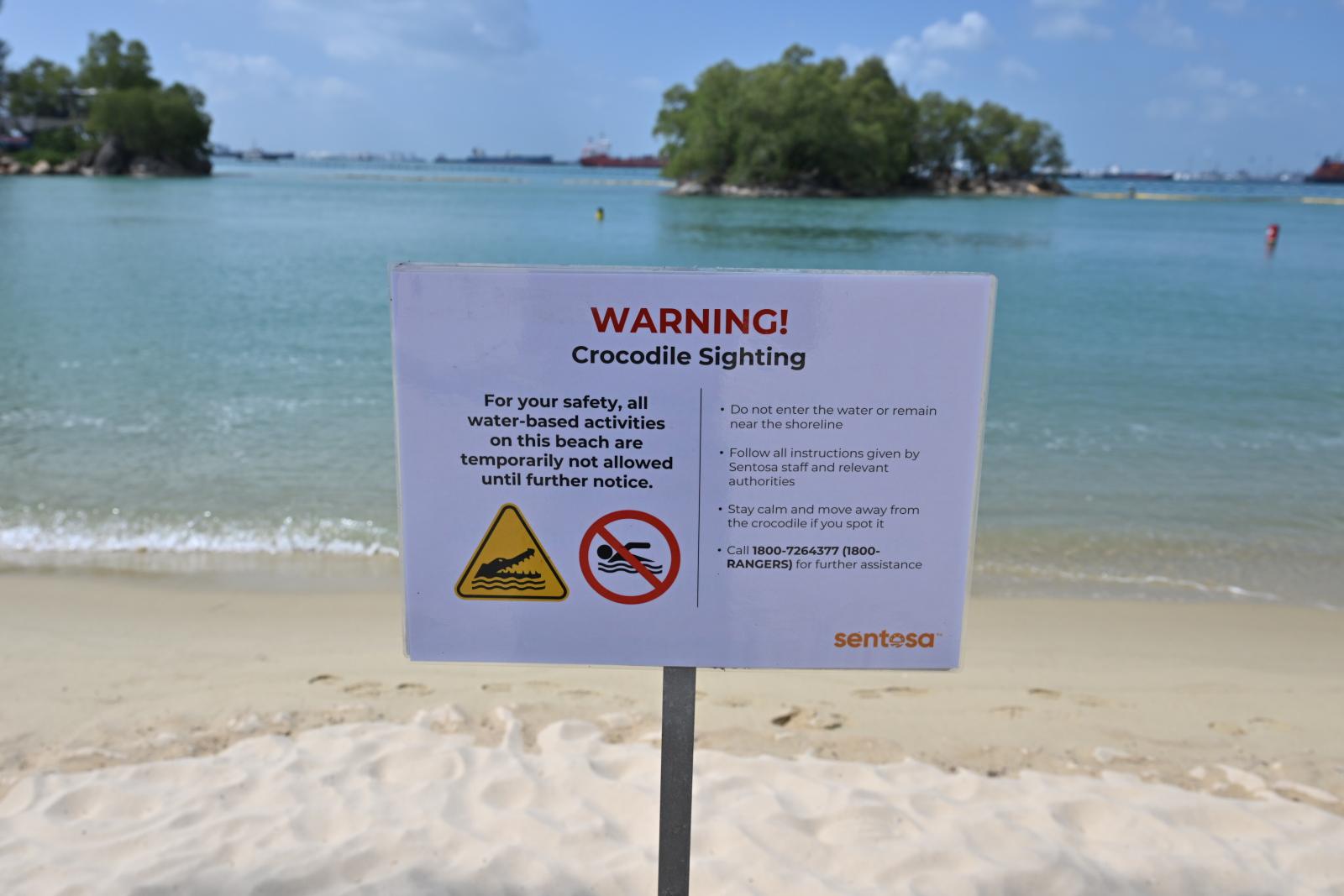 No further sightings of crocodile at Sentosa; suspension of water activities lifted