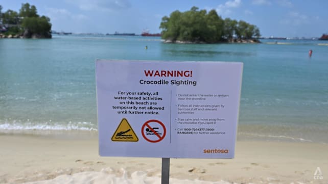No further sightings of crocodile at Sentosa; suspension of water activities lifted