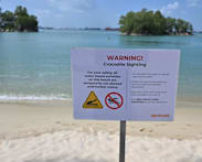 No further sightings of crocodile at Sentosa; suspension of water activities lifted