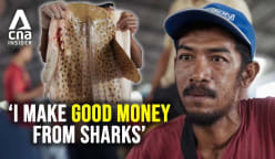 Rewilding Sharks - Inside the lucrative trade of shark fishing in Indonesia