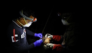 Singapore monitoring Nipah virus case reported in Bangladesh; no cases here