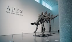 Bones of Contention - Inside The Multi-Million-Dollar Fossil Market